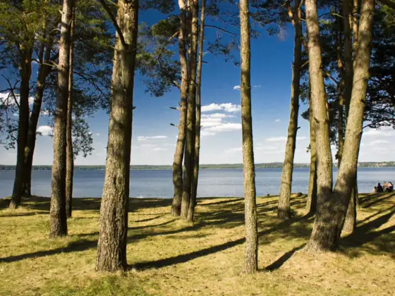 Najlepsze plaże na Mazurach - gdzie warto pojechać?